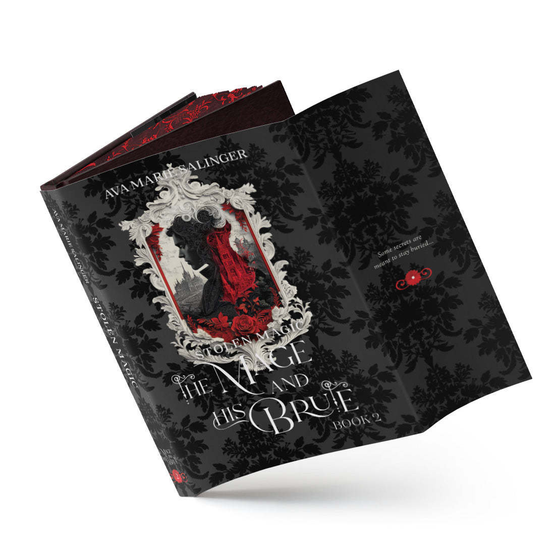 STOLEN MAGIC (SPECIAL EDITION HARDBACK)