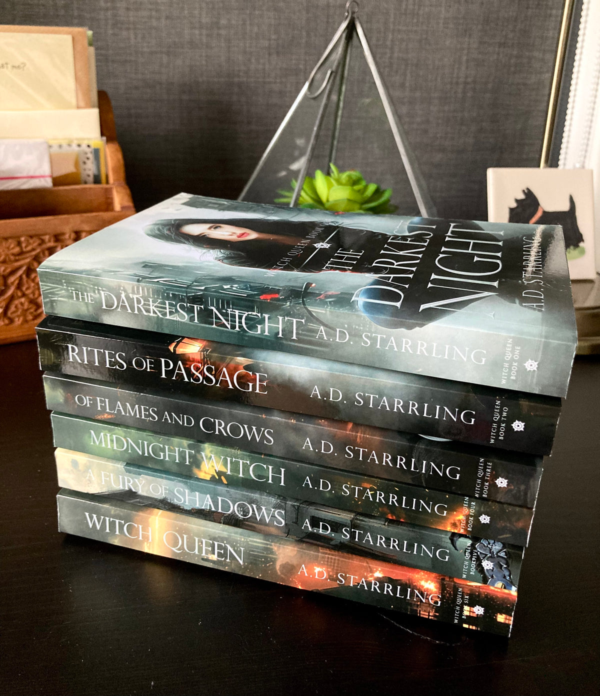 WITCH QUEEN BOOKS 1-6 (COMPLETE SERIES PAPERBACK BUNDLE)