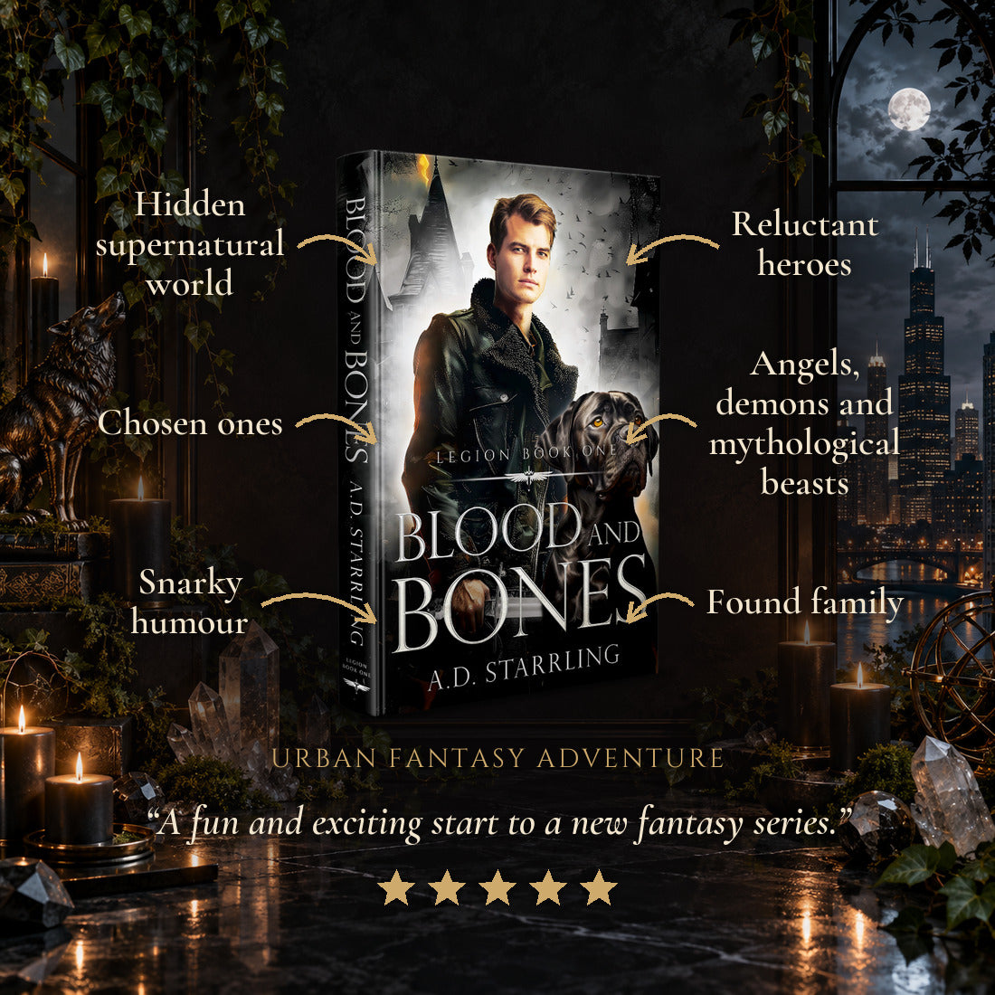 Blood and Bones Hardback tropes: Hidden supernatural world, Chosen ones, Snarky humour, Reluctant heroes, Angels, demons and mythological beasts, Found family. Five-star reader review.