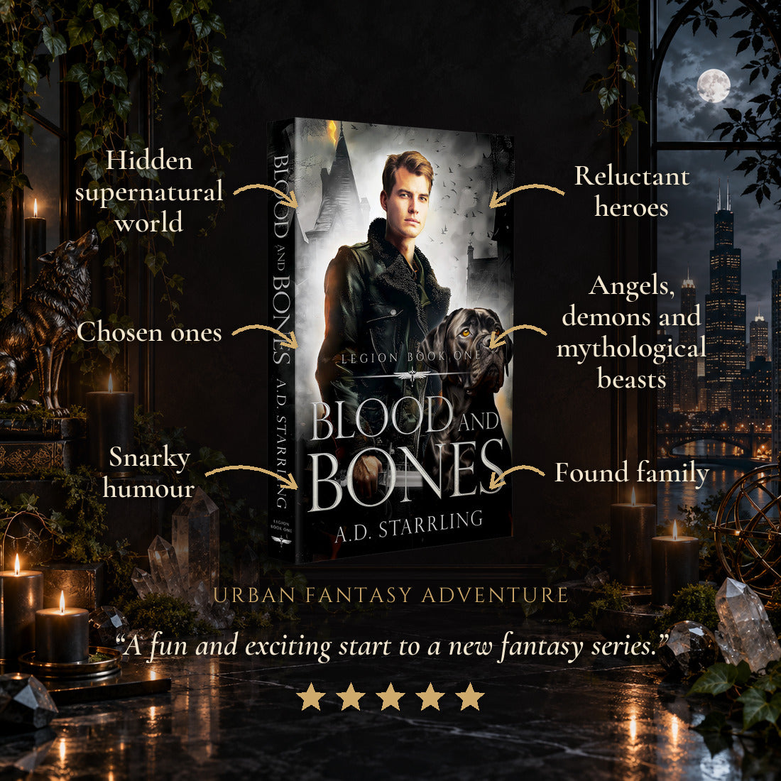 Blood and Bones Paperback tropes: Hidden supernatural world, Chosen ones, Snarky humour, Reluctant heroes, Angels, demons and mythological beasts, Found family. Five-star reader review.