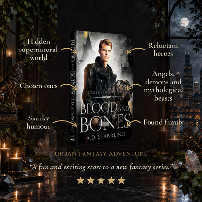Blood and Bones Paperback tropes: Hidden supernatural world, Chosen ones, Snarky humour, Reluctant heroes, Angels, demons and mythological beasts, Found family. Five-star reader review.