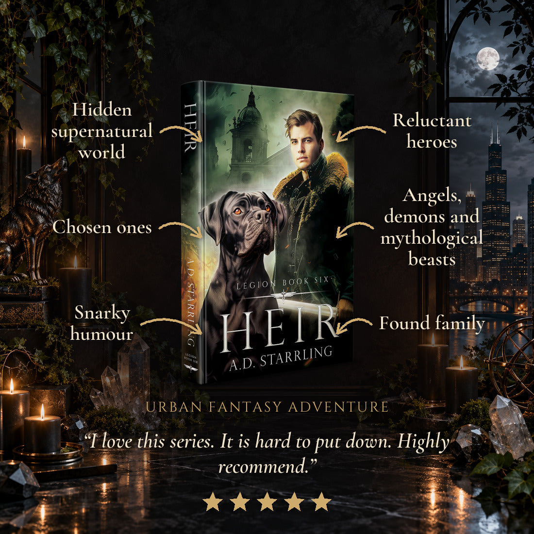 Heir Hardback tropes: Hidden supernatural world, Chosen ones, Snarky humour, Reluctant heroes, Angels, demons and mythological beasts, Found family. Five-star reader review.