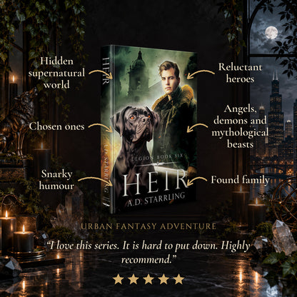 Heir Hardback tropes: Hidden supernatural world, Chosen ones, Snarky humour, Reluctant heroes, Angels, demons and mythological beasts, Found family. Five-star reader review.