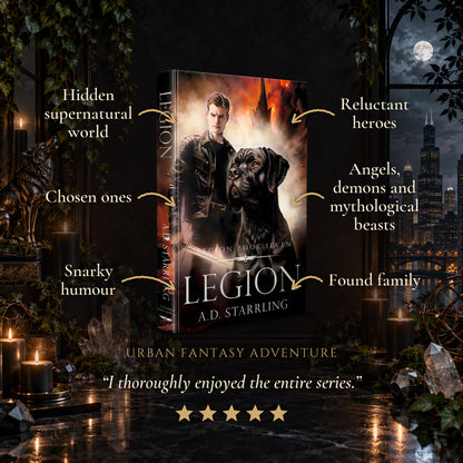 Legion Hardback tropes: Hidden supernatural world, Chosen ones, Snarky humour, Reluctant heroes, Angels, demons and mythological beasts, Found family. Five-star reader review.