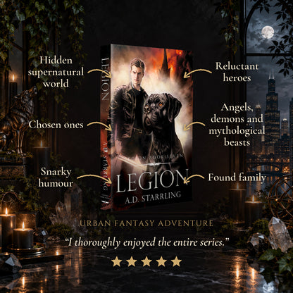 Legion Paperback tropes: Hidden supernatural world, Chosen ones, Snarky humour, Reluctant heroes, Angels, demons and mythological beasts, Found family. Five-star reader review.
