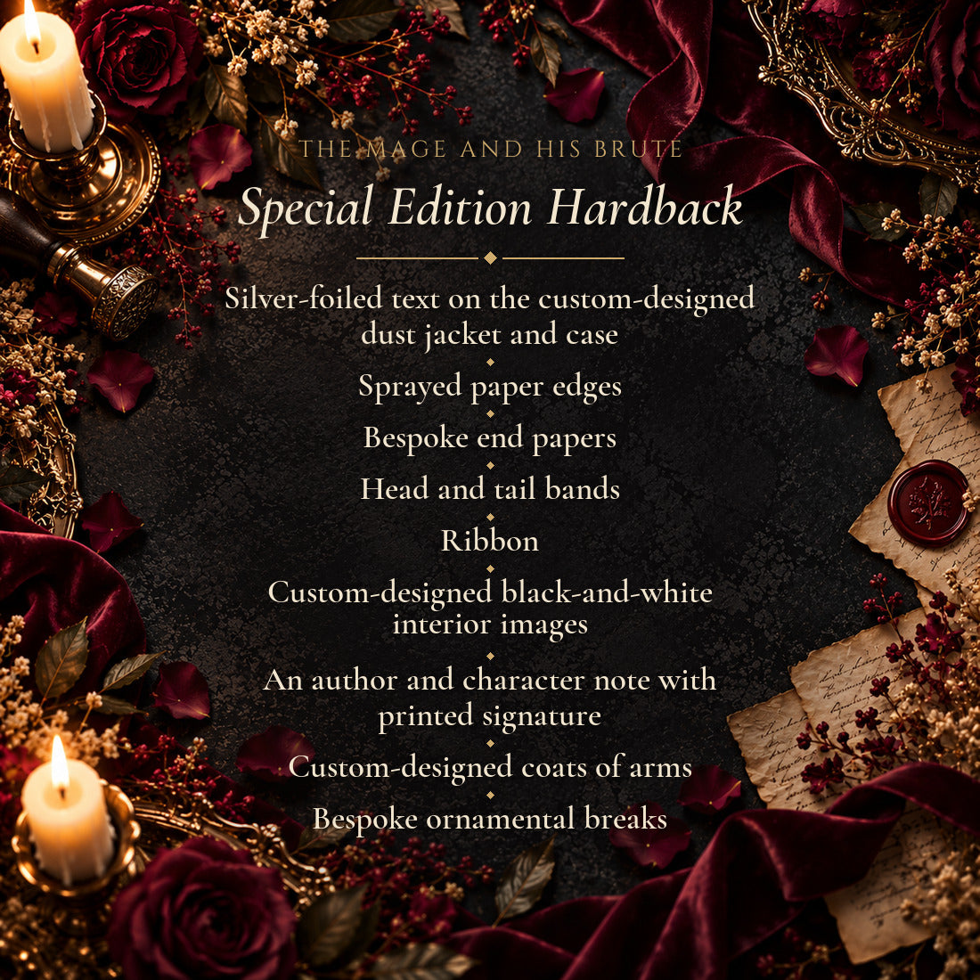 The Mage and His Brute — Special Edition Hardback